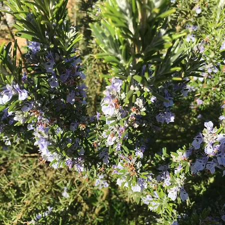 Au Bord De La Dhuy Nocleg ze śniadaniem