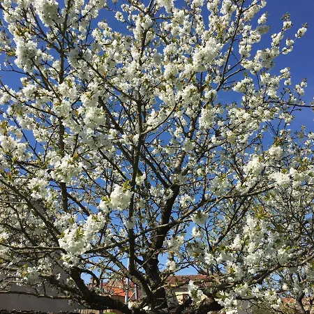 Au Bord De La Dhuy 3*